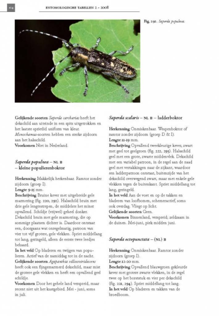De Nederlandse boktorren (Cerambycidae)