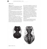 De Nederlandse hooiwagens (Opiliones)