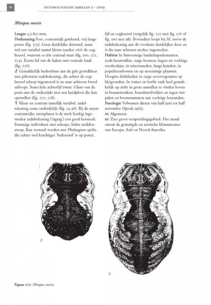 De Nederlandse hooiwagens (Opiliones)
