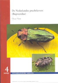 De Nederlandse prachtkevers (Buprestidae)