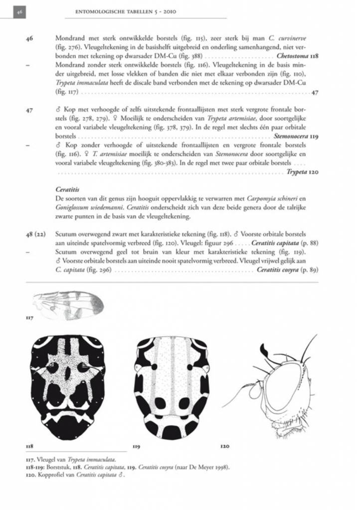 De Nederlandse boorvliegen (Tephritidae)