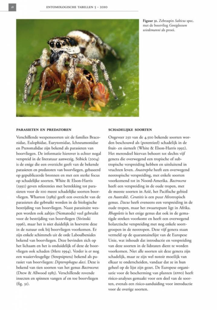 De Nederlandse boorvliegen (Tephritidae)