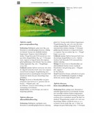 De Nederlandse boorvliegen (Tephritidae)