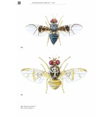 De Nederlandse boorvliegen (Tephritidae)