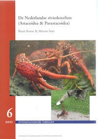 De Nederlandse rivierkreeften (Astacoidea en parastacoidea)