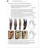 De Nederlandse rivierkreeften (Astacoidea en parastacoidea)
