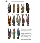 De Nederlandse rivierkreeften (Astacoidea en parastacoidea)
