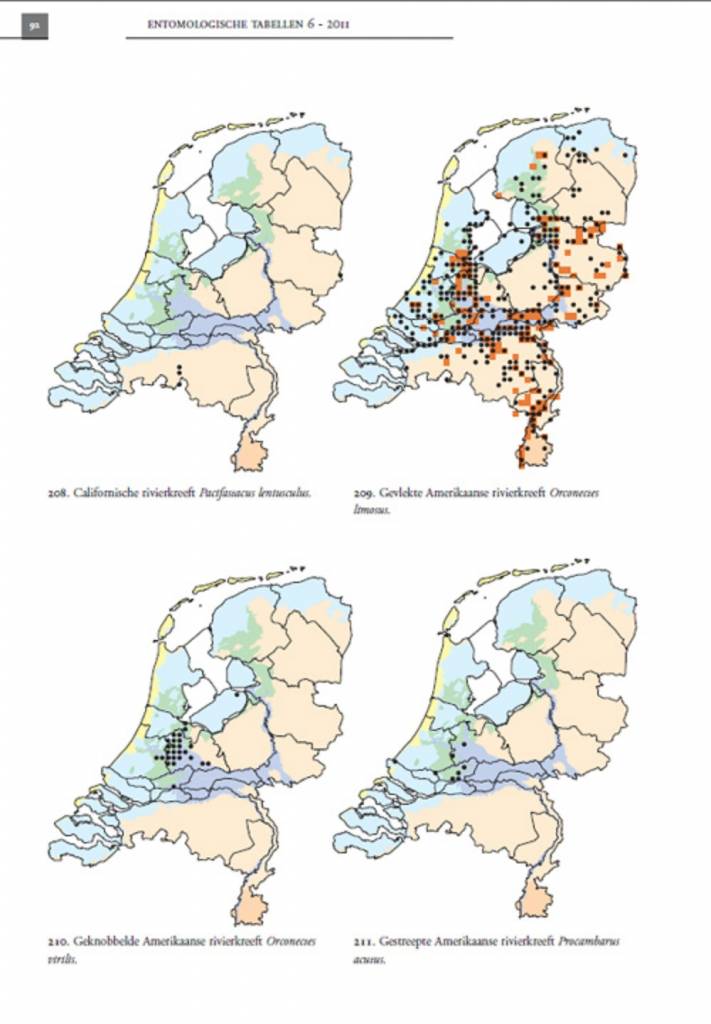 De Nederlandse rivierkreeften (Astacoidea en parastacoidea)