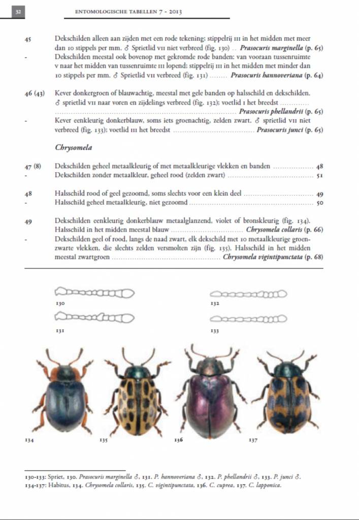 De Nederlandse goudhaantjes (Chrysomelidae: Chrysomelinae)