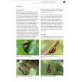 De Nederlandse goudhaantjes (Chrysomelidae: Chrysomelinae)