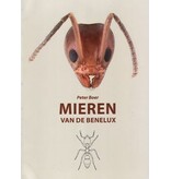 Mieren van de Benelux