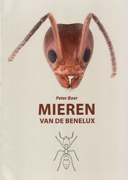 Mieren van de Benelux