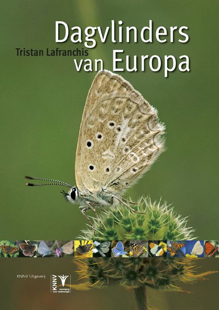 Dagvlinders van Europa