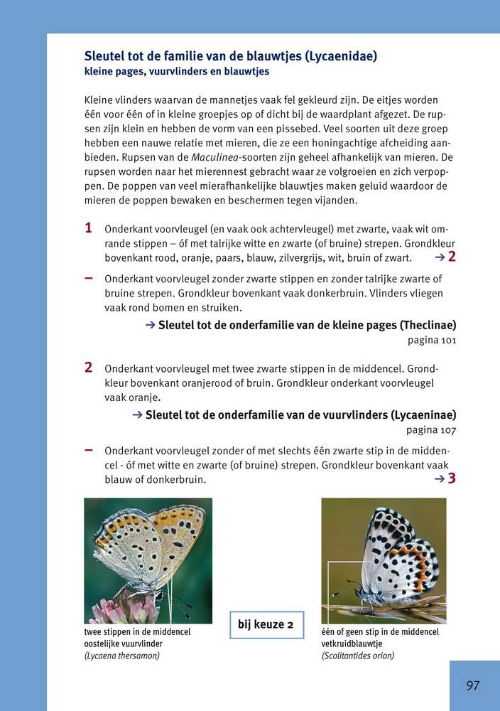 Dagvlinders van Europa