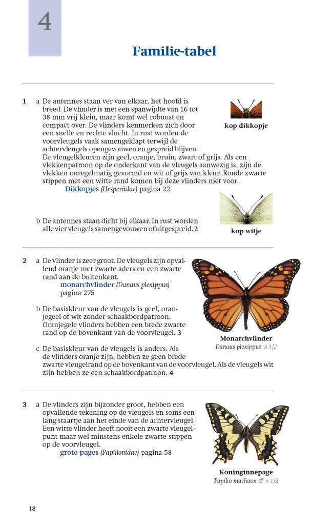 De nieuwe veldgids Dagvlinders