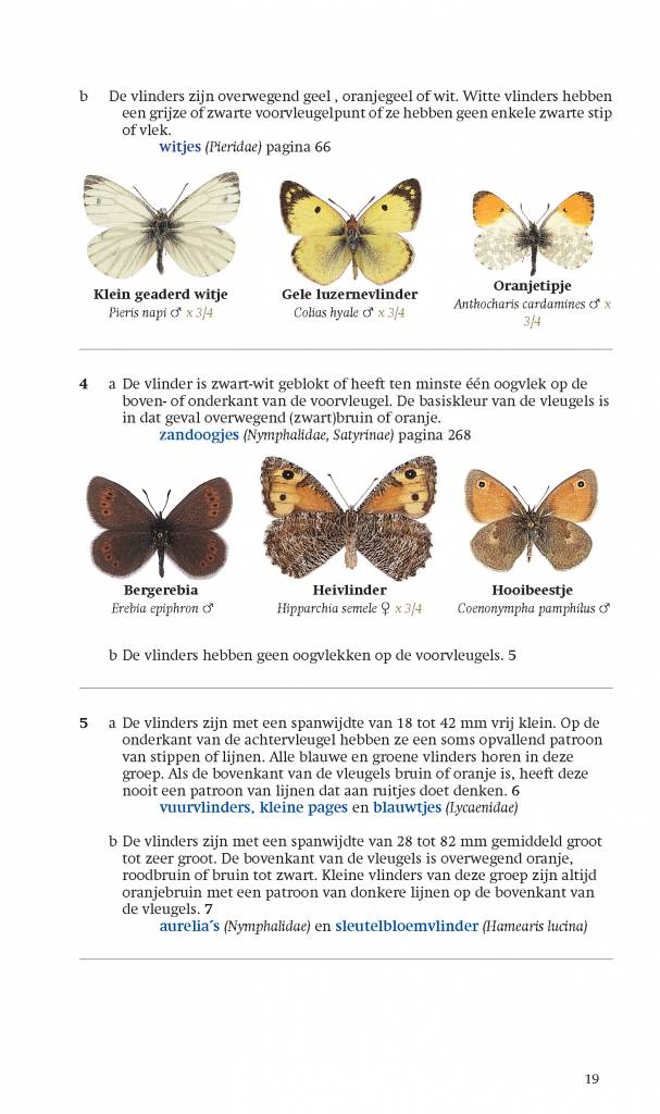 De nieuwe veldgids Dagvlinders