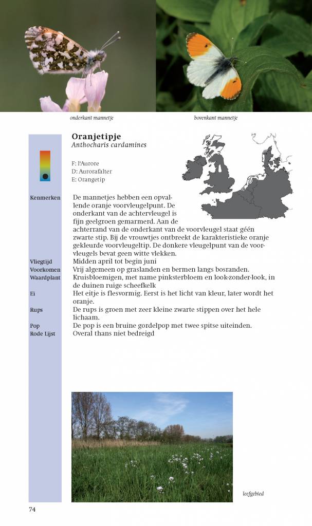 De nieuwe veldgids Dagvlinders