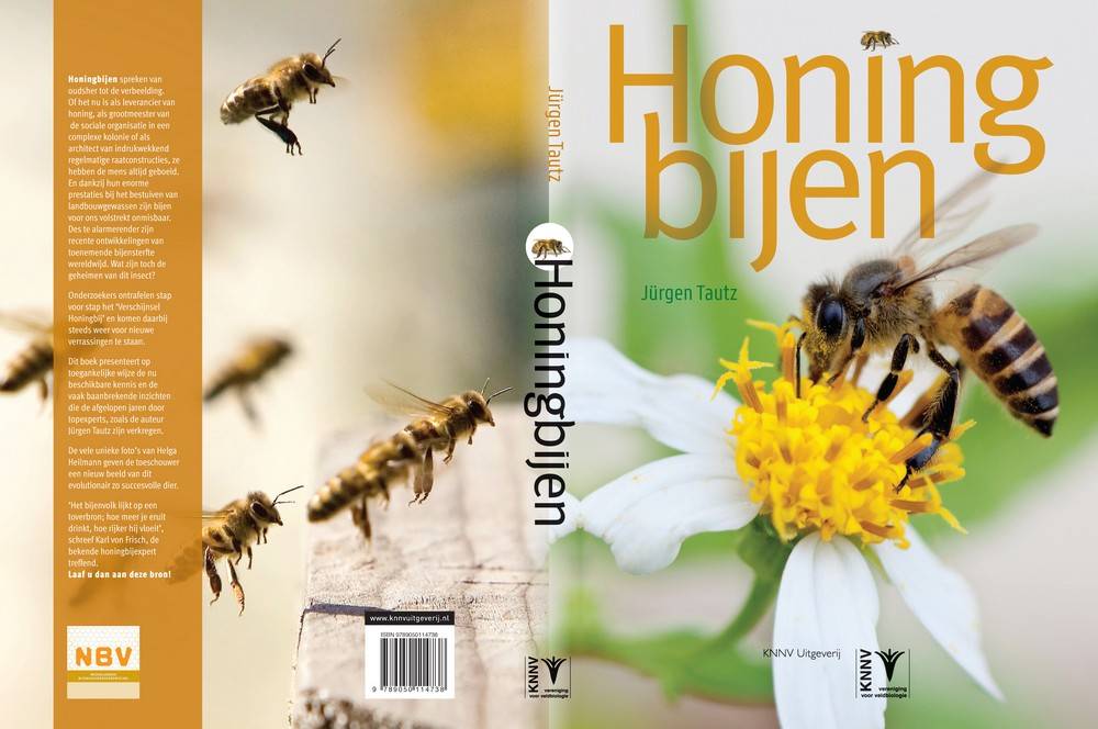 Honingbijen