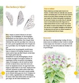 Bijen in beeld