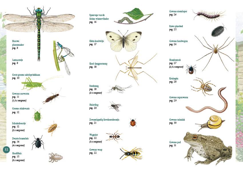Kriebelbeestjes in beeld