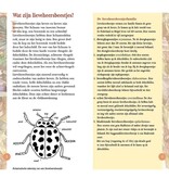 Lieveheersbeestjes in beeld