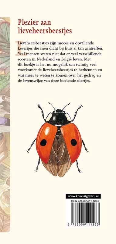 Lieveheersbeestjes in beeld