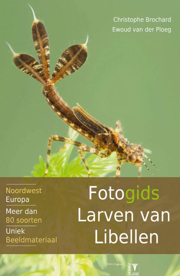 Fotogids larven van libellen