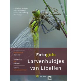 Fotogids larvenhuidjes van libellen