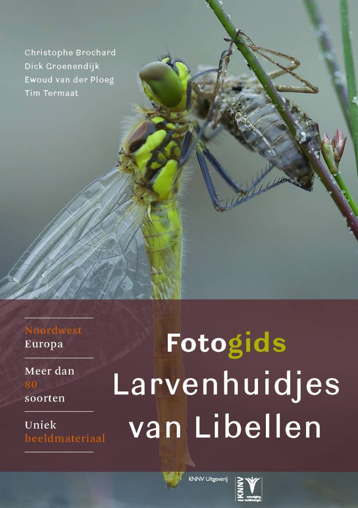 Fotogids larvenhuidjes van libellen