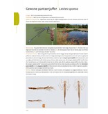 Fotogids larvenhuidjes van libellen