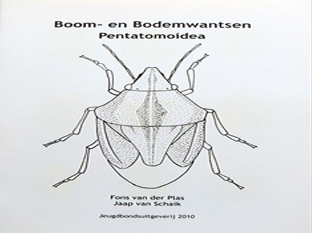 Boom- en Bodemwantsen