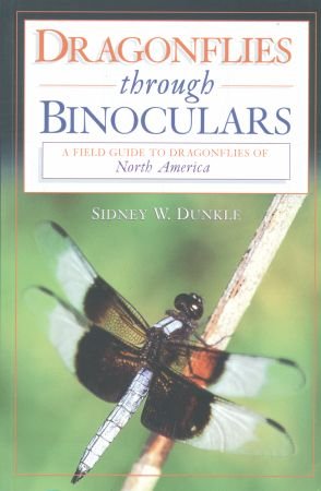 Dragonflies through binoculars