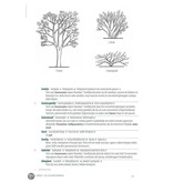 Botanisch woordenboek