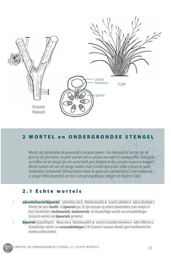Botanisch woordenboek