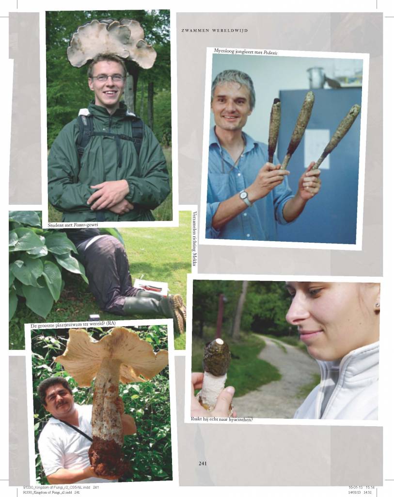 Het leven van paddenstoelen en schimmels