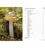 Veldgids paddenstoelen