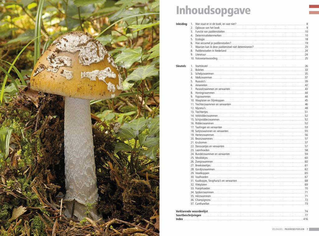 Veldgids paddenstoelen