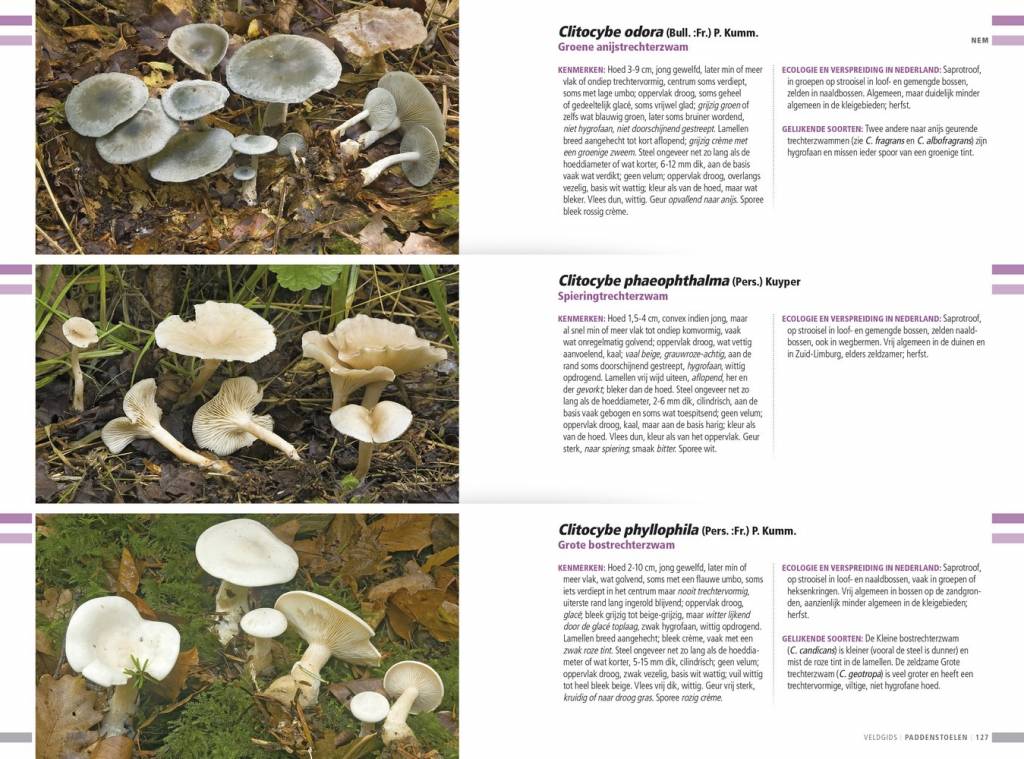 Veldgids paddenstoelen