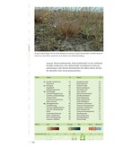 Veldgids plantengemeenschappen