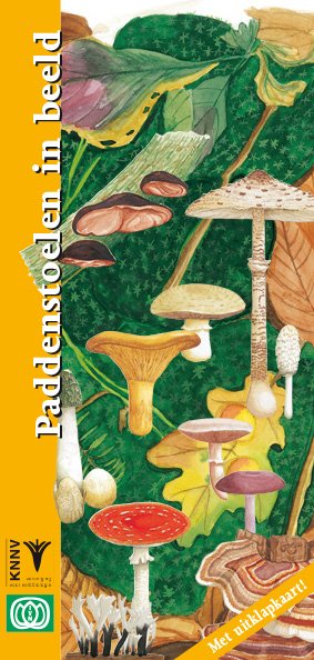 Paddenstoelen in beeld