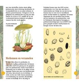 Paddenstoelen in beeld