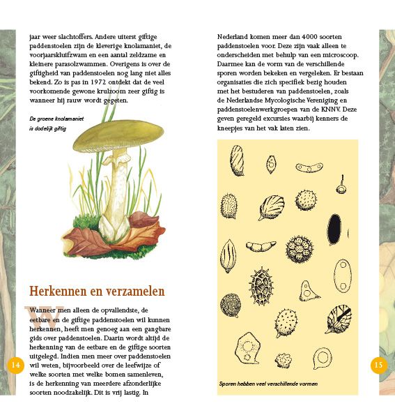 Paddenstoelen in beeld