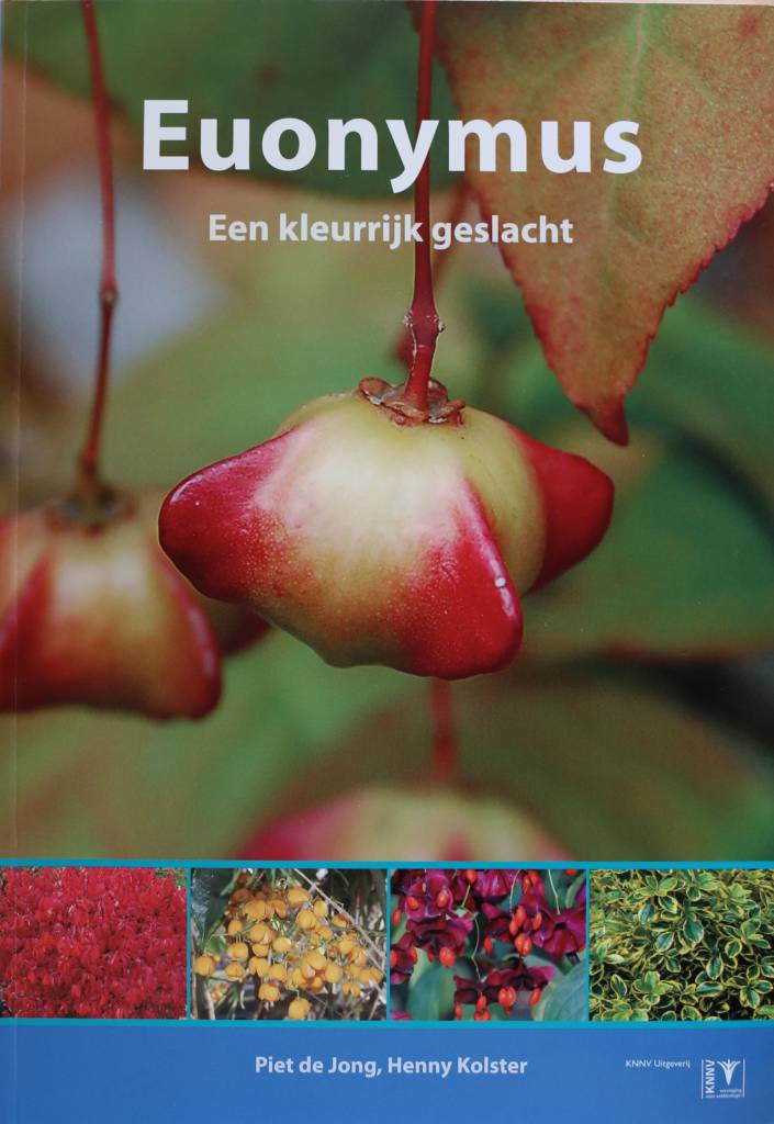 Euonymus