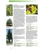 Loofbomen in Nederland en Vlaanderen
