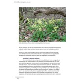 Planten tellen