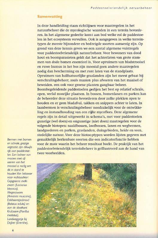 Paddestoelvriendelijk natuurbeheer