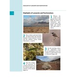 Canary islands