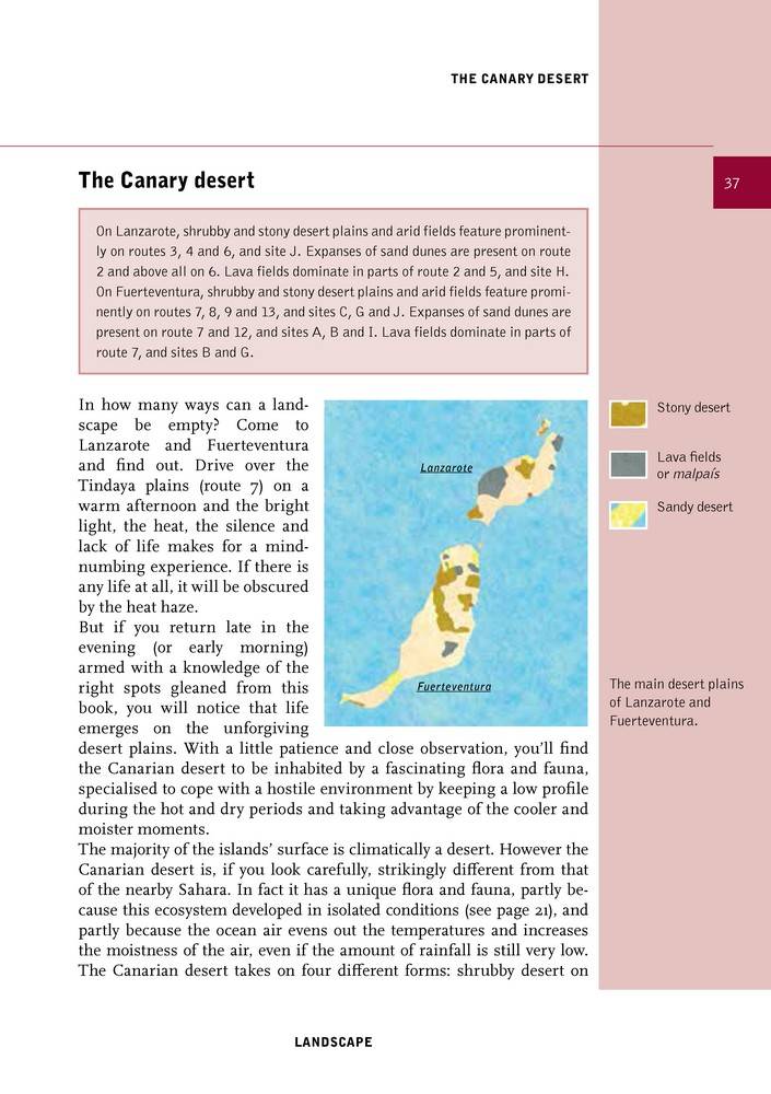 Canary islands