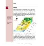 Eastern Rhodopes - Nestos, Evros and Dadia - Bulgaria and Greece