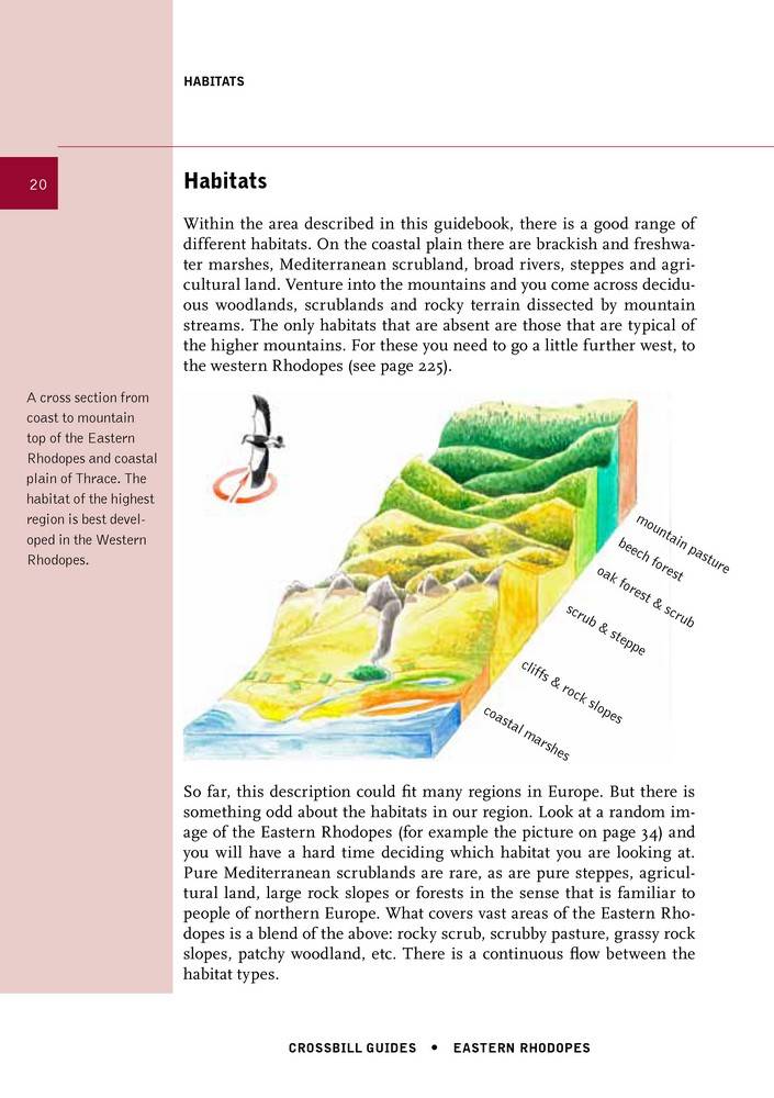 Eastern Rhodopes - Nestos, Evros and Dadia - Bulgaria and Greece